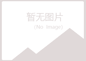 石嘴山晓凡工程有限公司